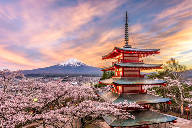 Mount Fuji and cherry blossoms in Japan